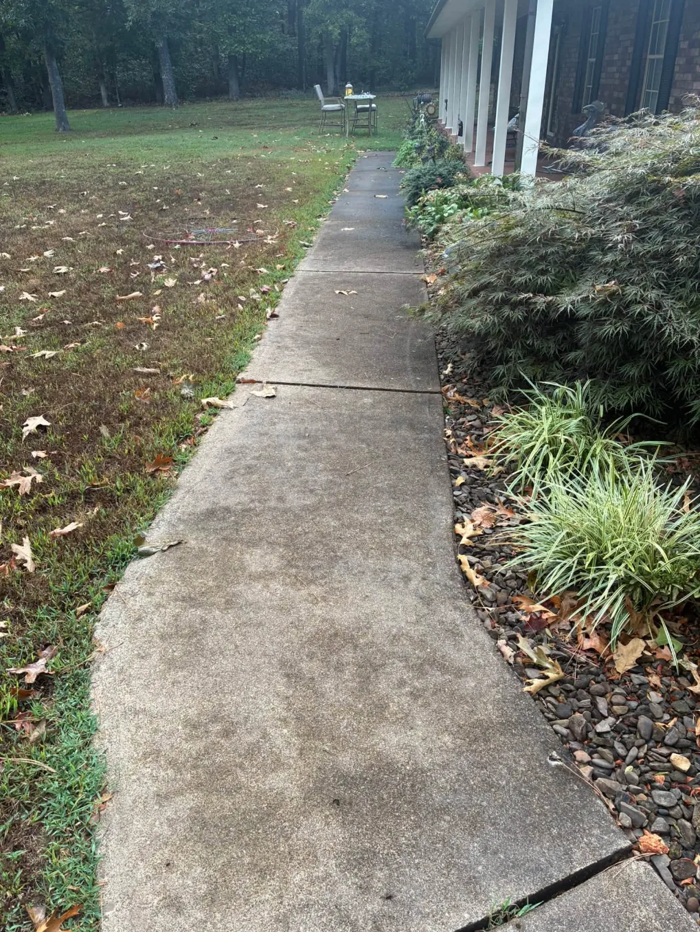 Dark, dirty concrete sidewalk along a brick house and garden beds