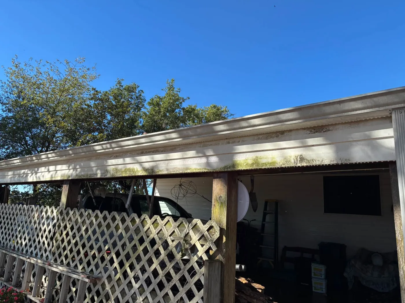 Carport beam and lattice with green growth before washing