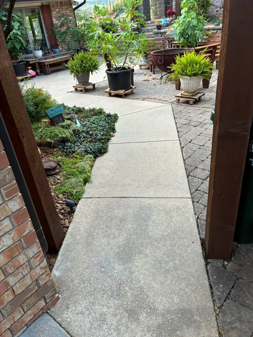 Concrete walkway through a patio garden with potted plants and pavers
